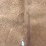 Cowhide leather, color brown glazed