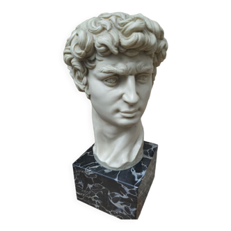 Reproduction tête de David