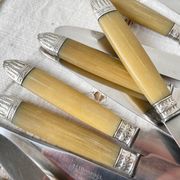 12 vintage Pradel stainless steel bakelite knives