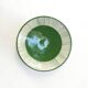 Large plate - palm border green