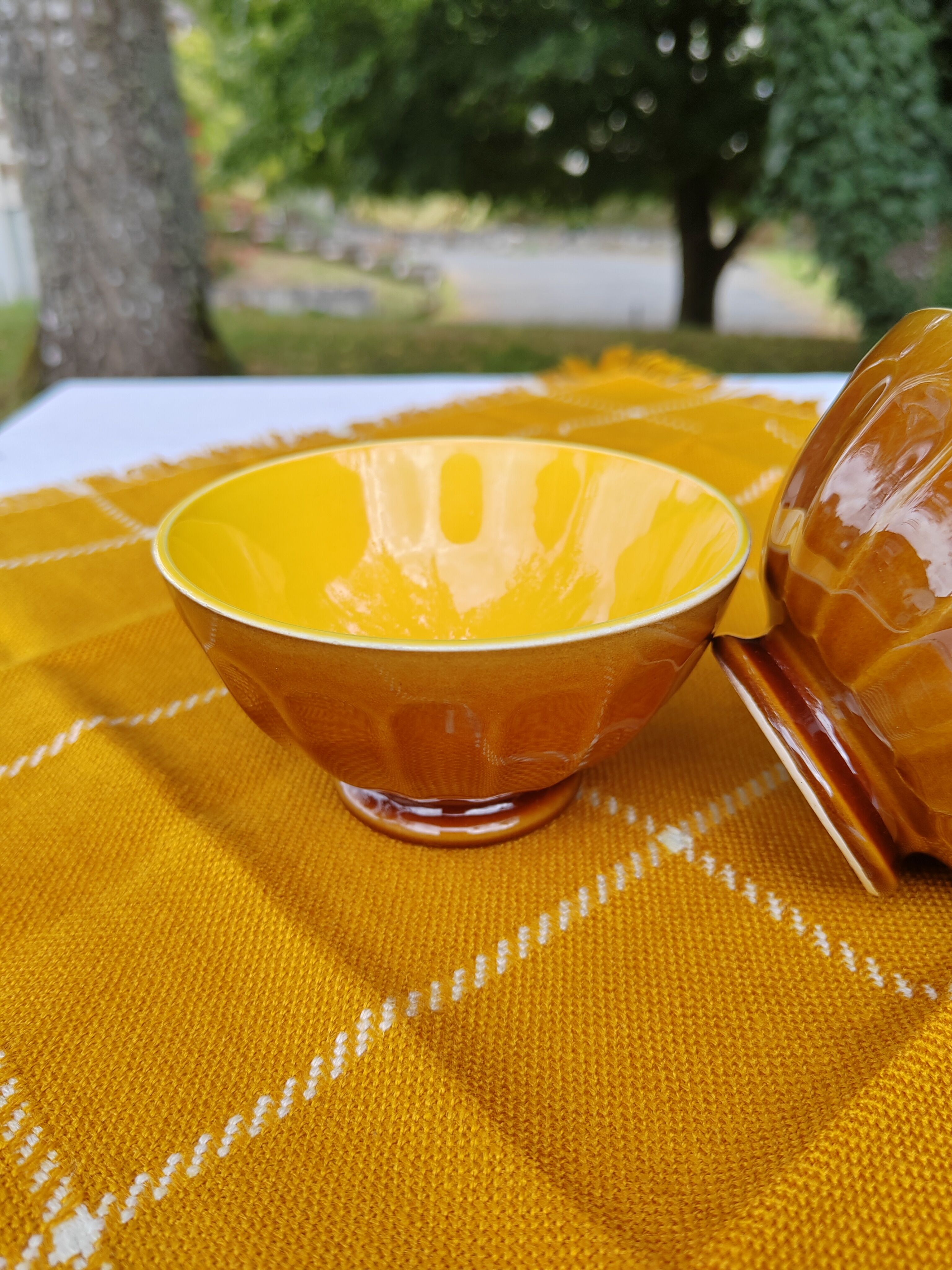 Pair of brown/yellow ribbed bowls - Digoin & Sarreguemines