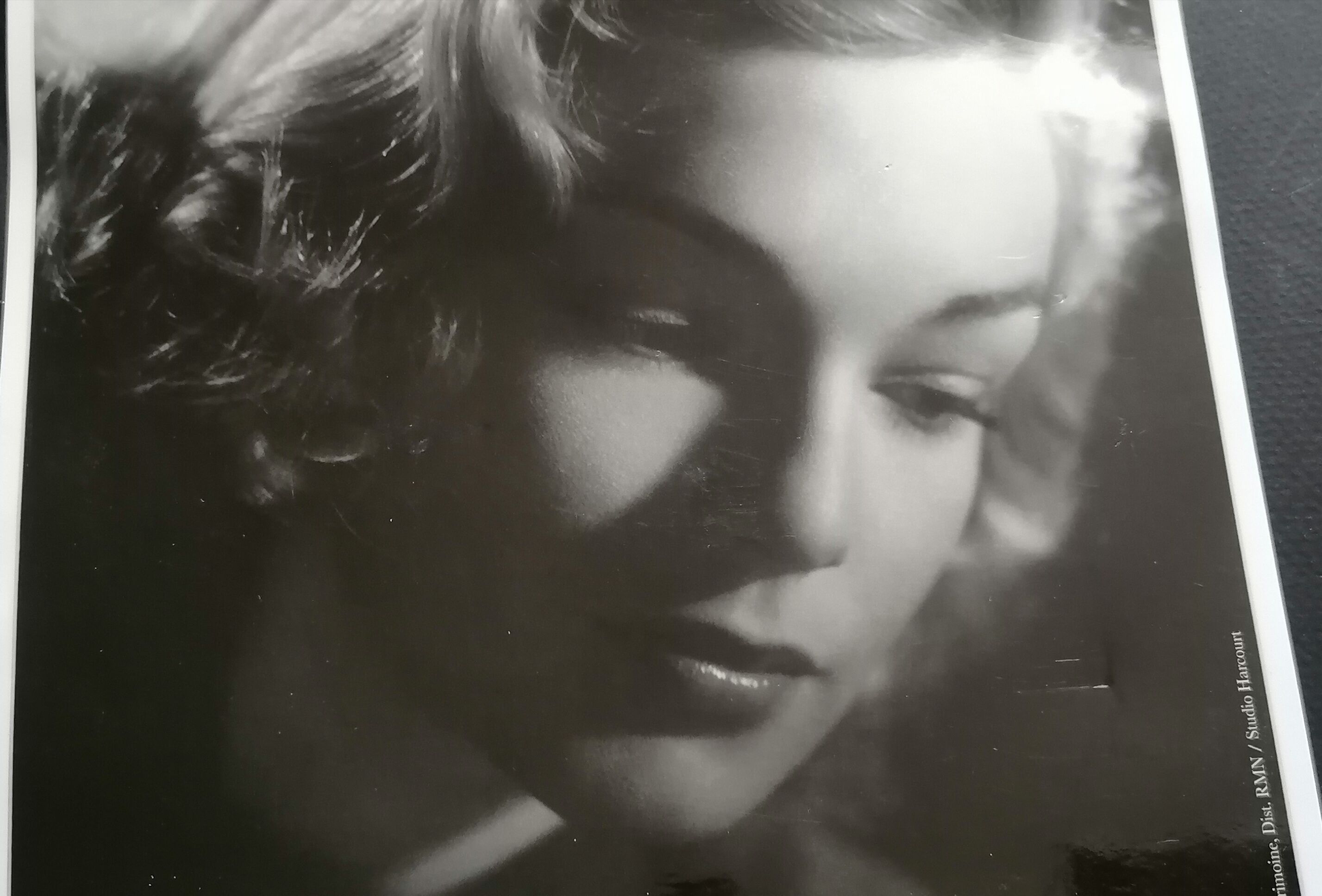 Photography Harcourt Simone Signoret