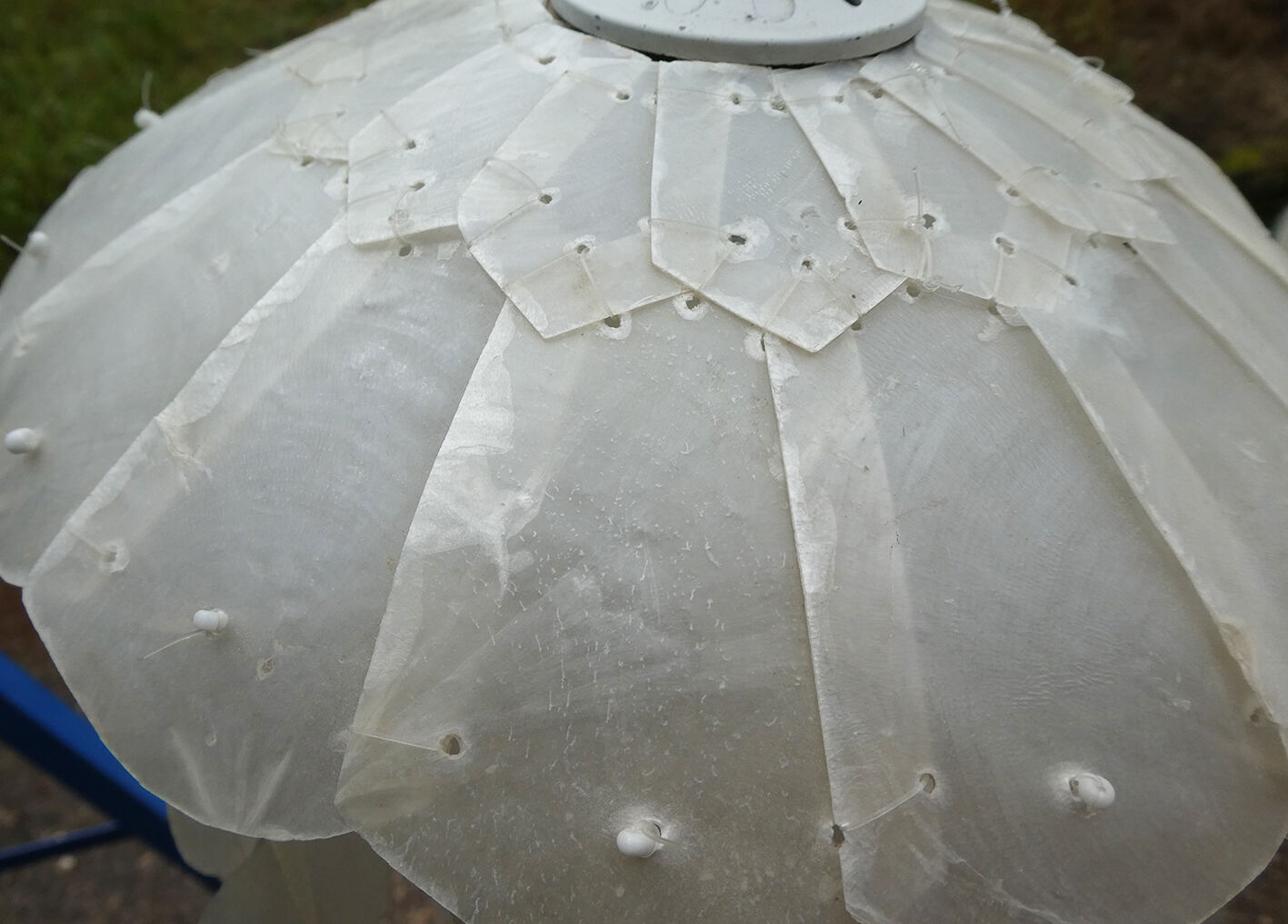 Duo of hanging lamps in mother-of-pearl tassels