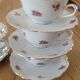 5 cups and saucers Seltmann Weiden Bavaria Model Nora