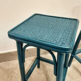 Pair of rattan harnesses