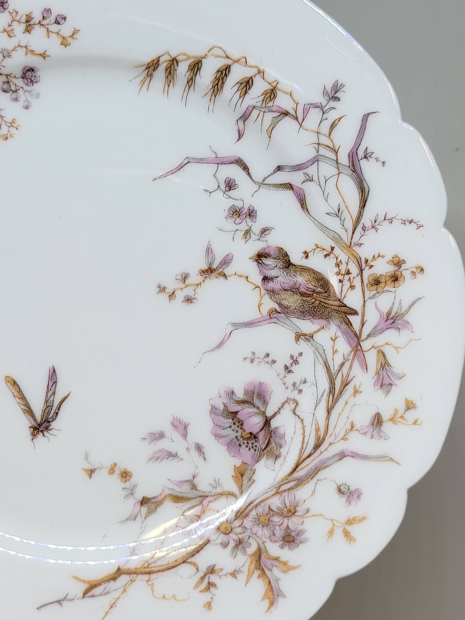 8 Superbes Assiettes Anciennes XIXème Décor Aux Oiseaux Sur Des Branches