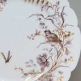8 Superb Antique 19th Century Plates Decorated with Birds on Branches