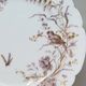 8 Superb Antique 19th Century Plates Decorated with Birds on Branches
