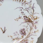 8 Superbes Assiettes Anciennes XIXème Décor Aux Oiseaux Sur Des Branches