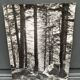 Silver gelatin photograph by Bernard Darot, Undergrowth and rocks, 20th century