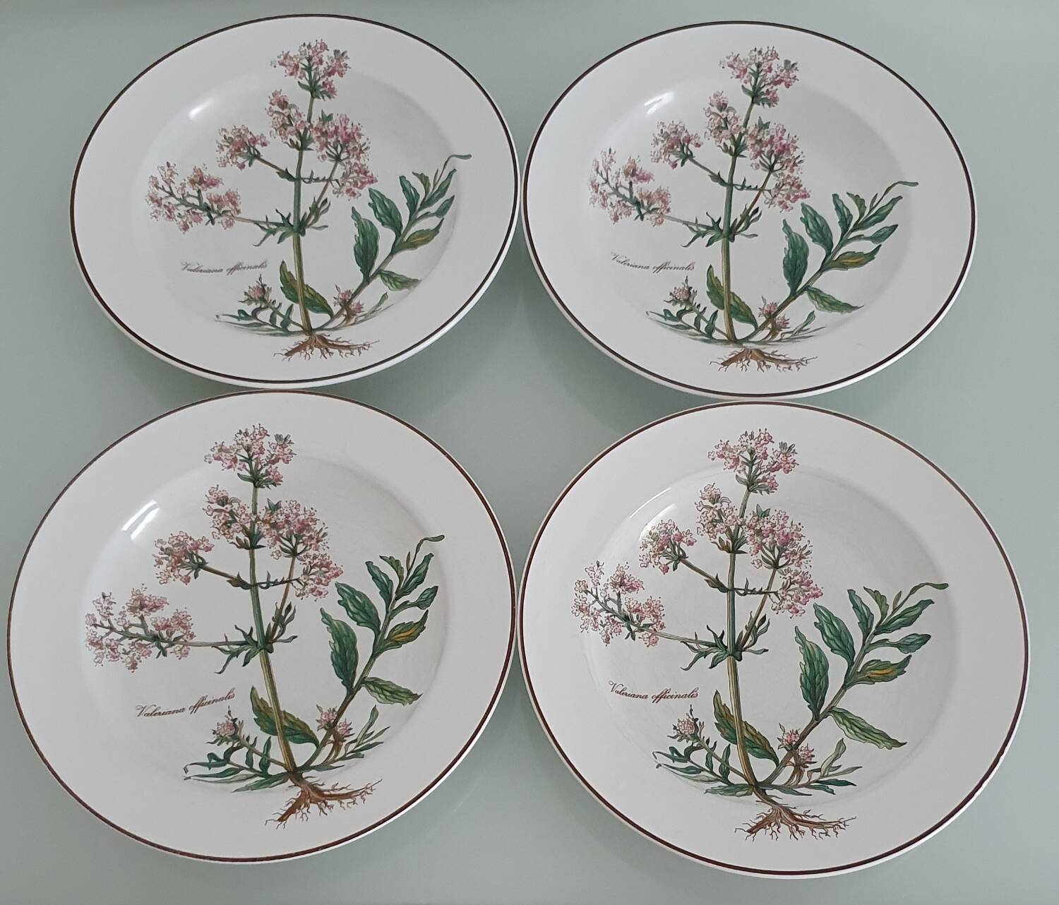 Set of 4 Villeroy and Boch plates, Botanica collection