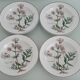 Set of 4 Villeroy and Boch plates, Botanica collection