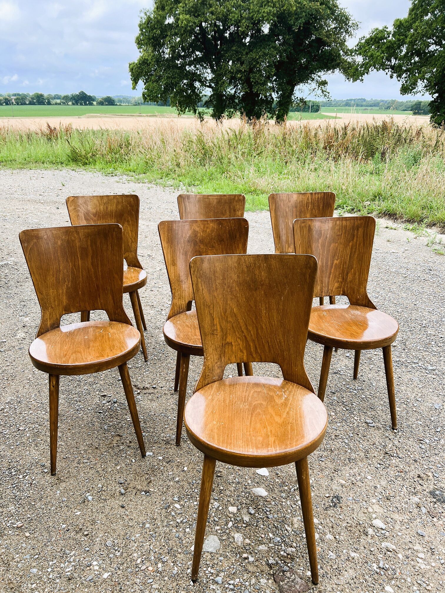 Set of 7 baumann bistro chairs model dove 50s