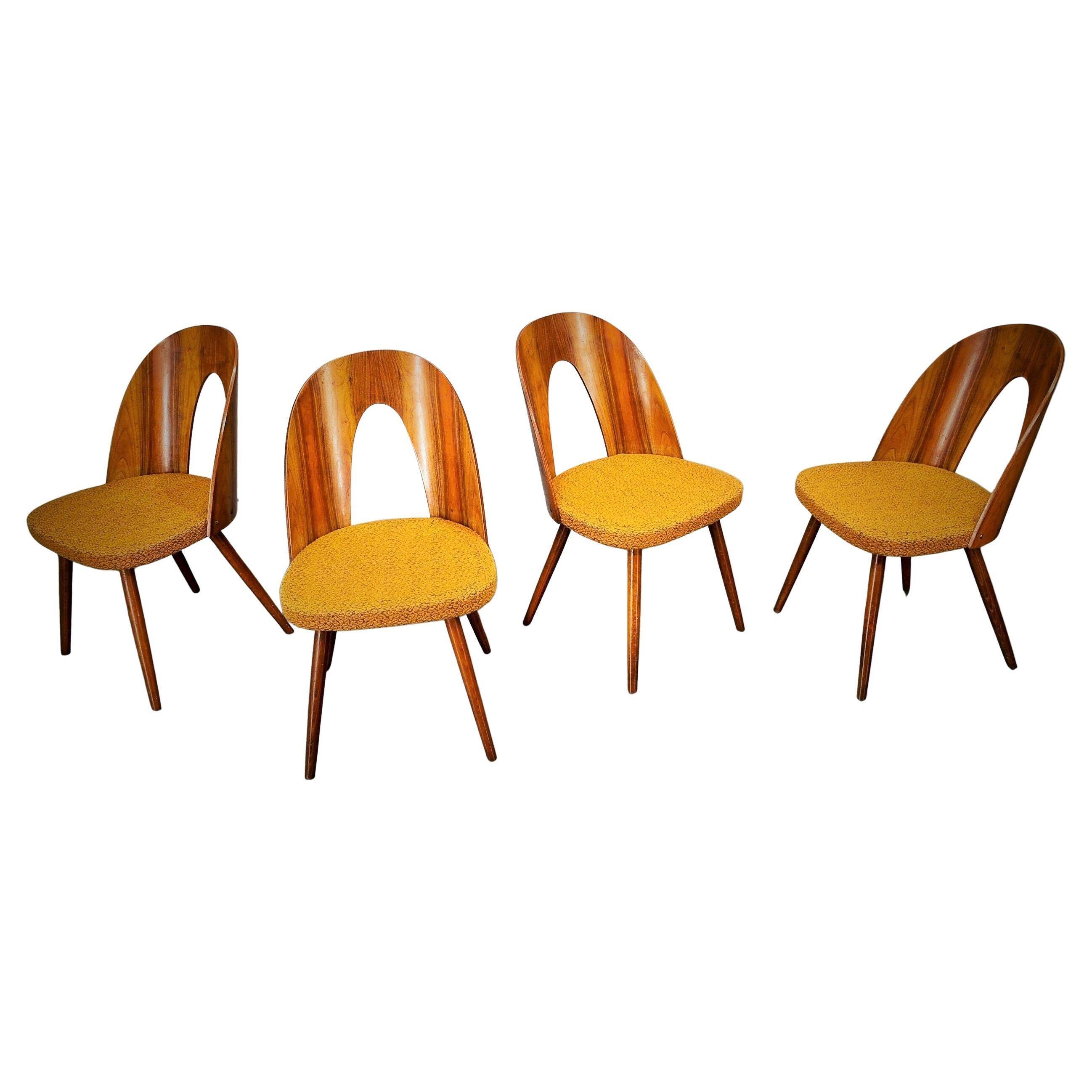 1960s Antonin Suman set of four dining chairs in walnut finish, Czechoslovakia