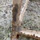 Industrial metal stool