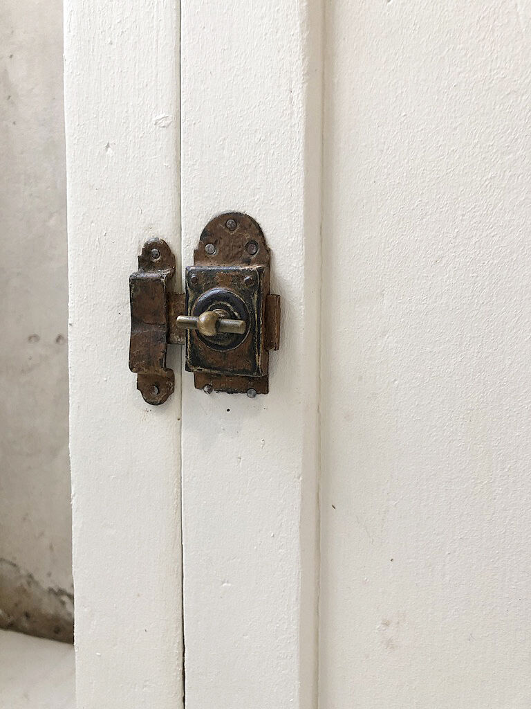 White pine confectioner