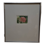 Aquarel of schilderijtje, “Parasol”, M. Van den Dries, 1987