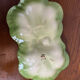 1950s Brad Keeler serving tray Lobster slip