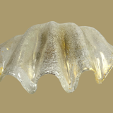 Paire d appliques mural en verre de murano en forme de coquillage des années 70