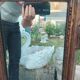 Antique Louis XVI style gilded wood mirror