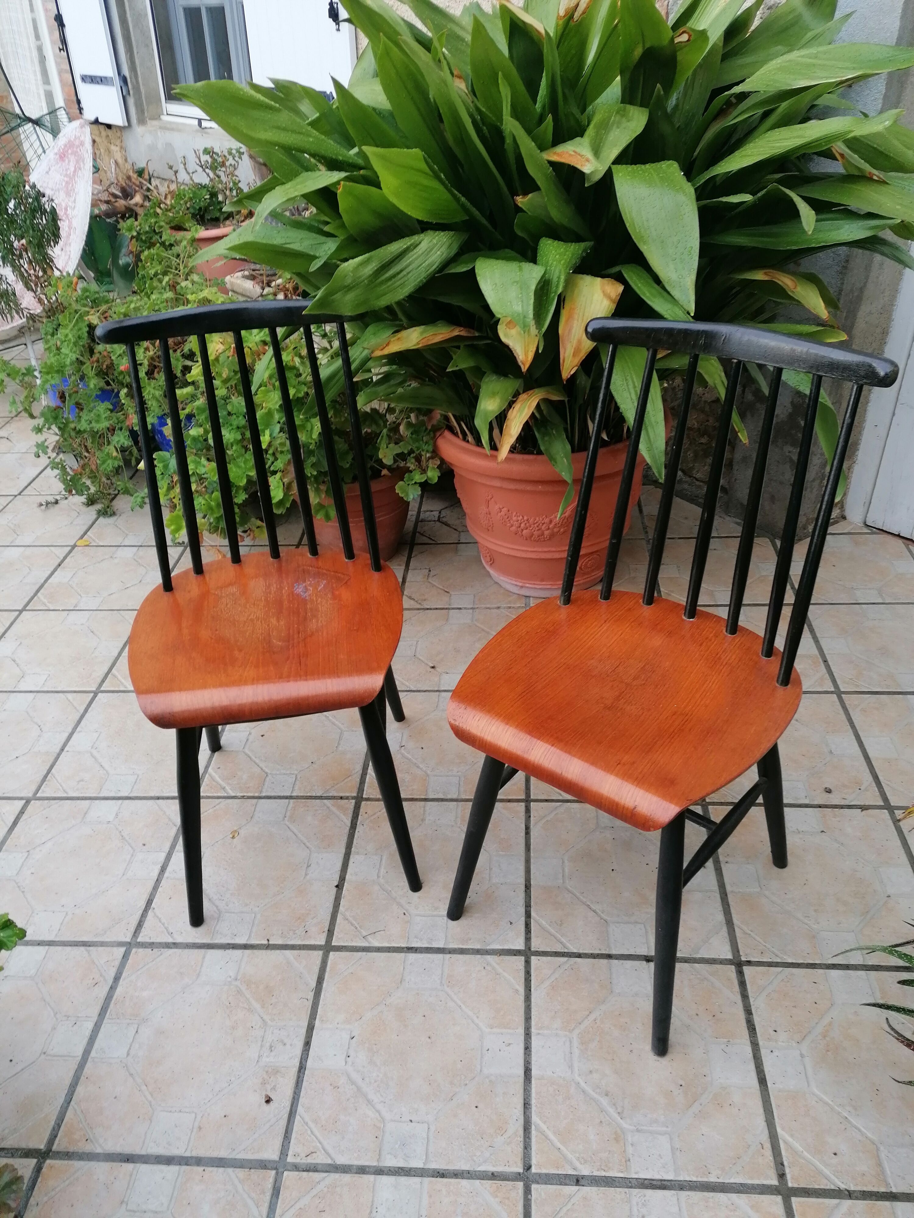 Model chair Fanett D'Ilmari Tapiovaara 1955