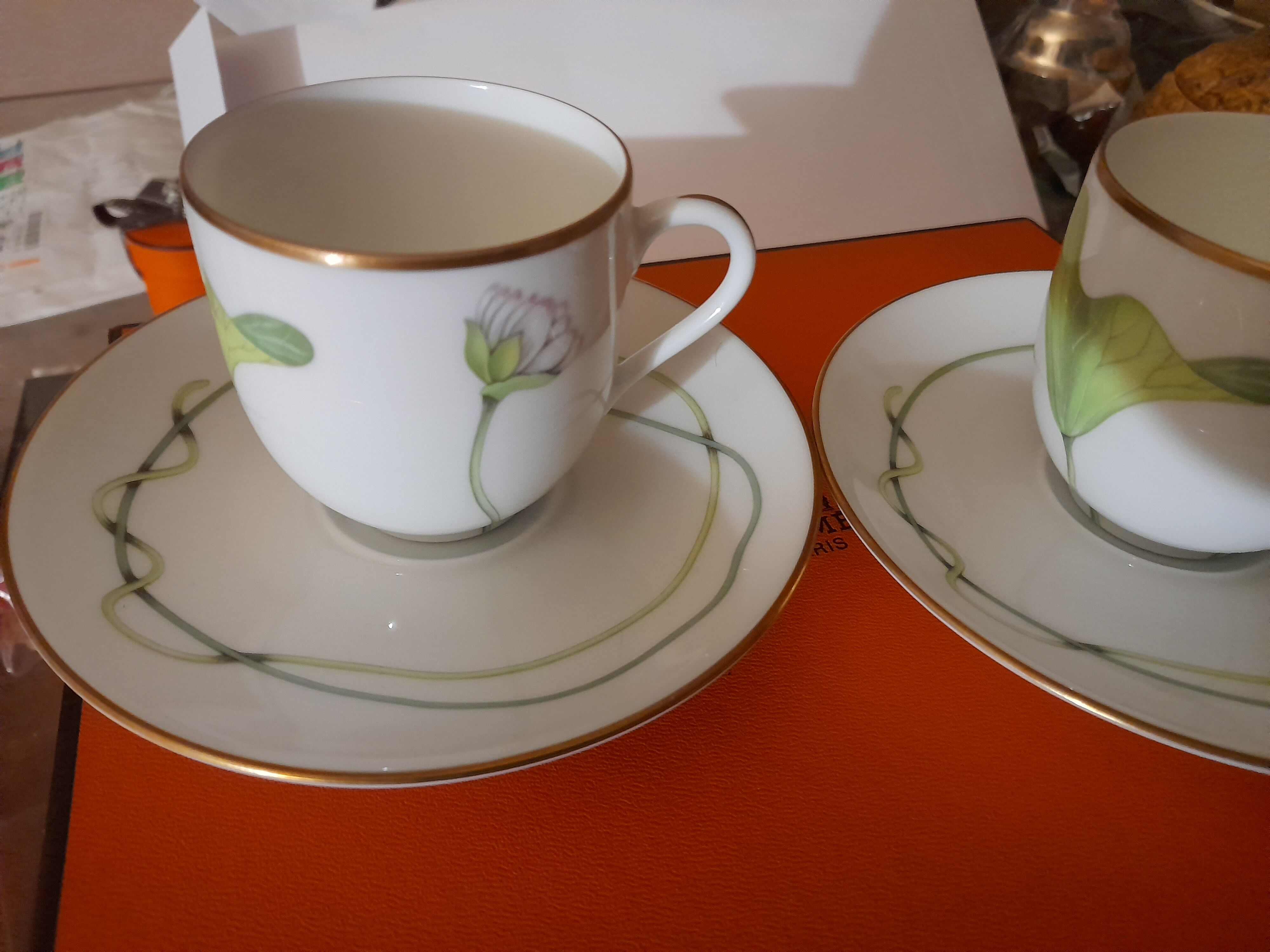 Hermes coffee cups nile