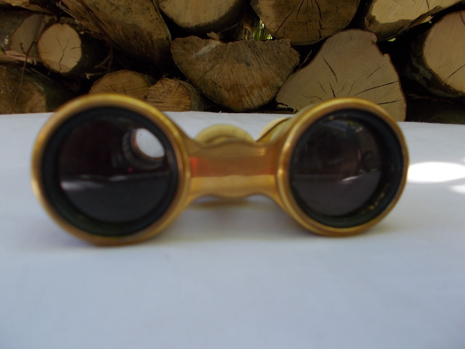 Opera or theatre twins