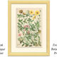 Botanical plate 1906 Potentilla, brown clover, snow trills, alpine clover