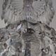Napoleon III chandelier with crystal pendants, signed Portieux, 19th century.