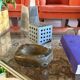 Luxury fossil brown marble ashtray bowl, France 1970s