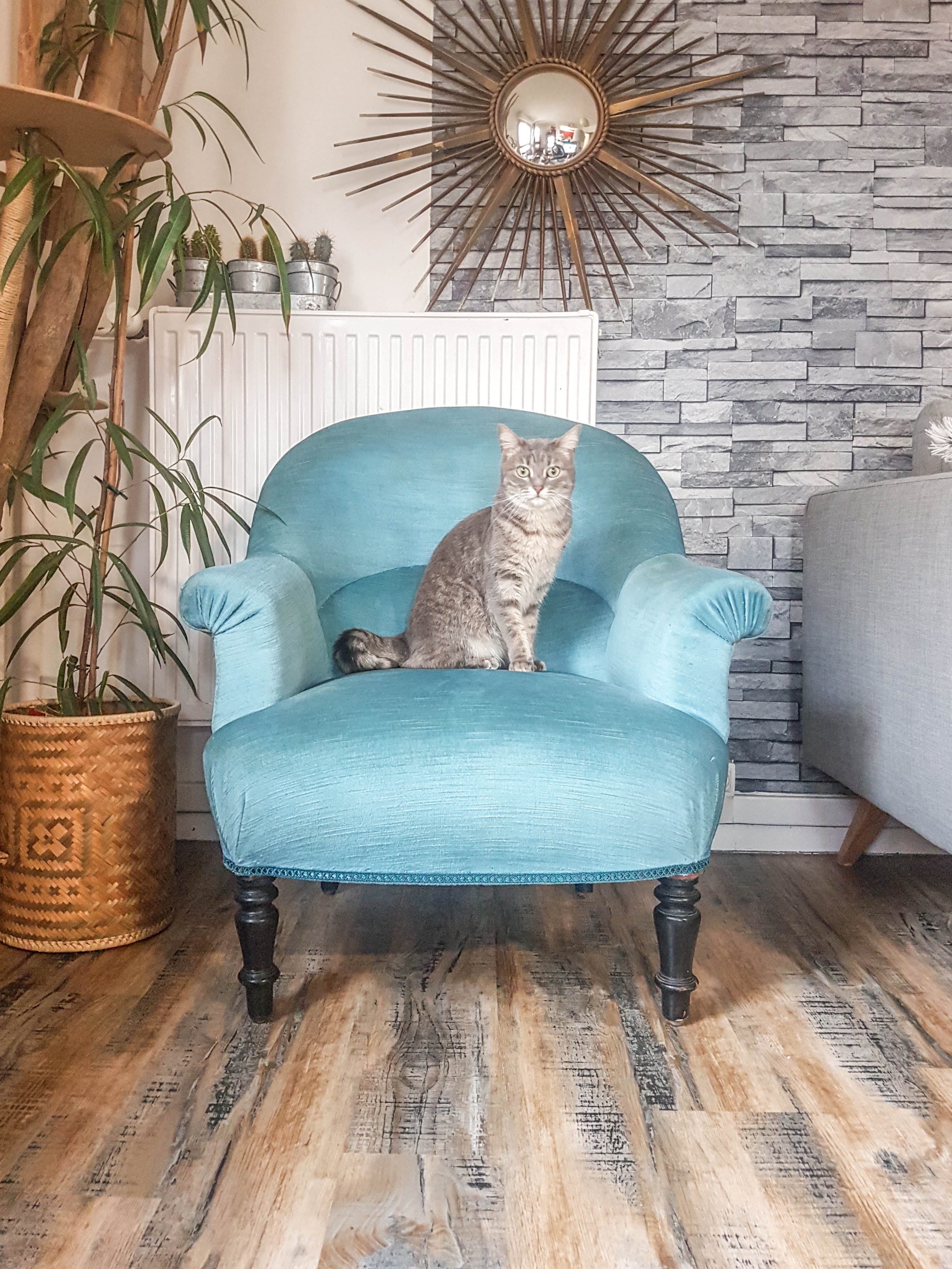 Vintage toad armchair blue velvet 70s