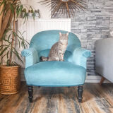 Vintage toad armchair blue velvet 70s