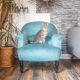 Vintage toad armchair blue velvet 70s
