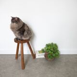Raw teak stool
