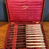 Box of 12 dessert knives