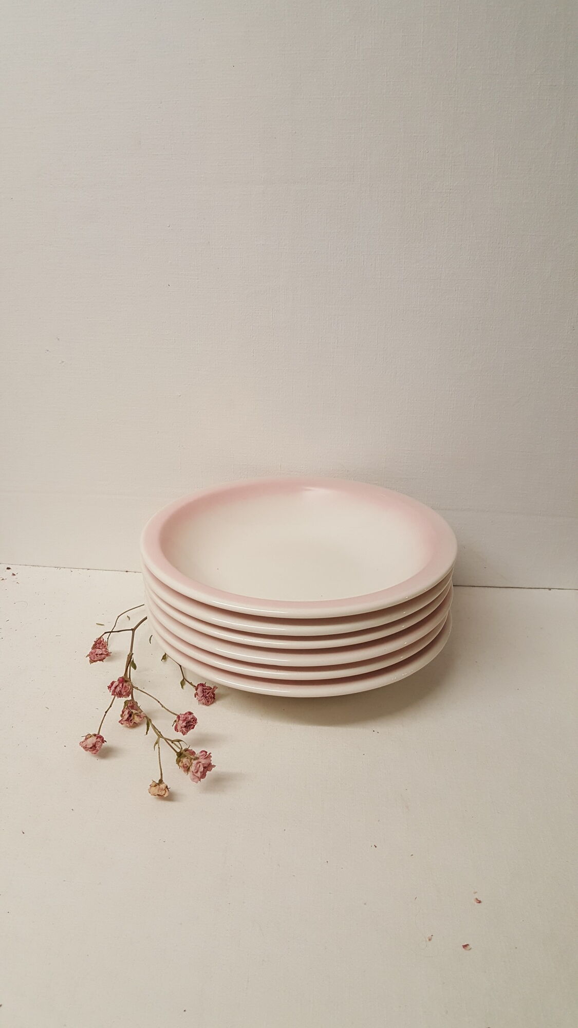 Set of 6 hollow plates, made in Italy, Ceramica CCC.