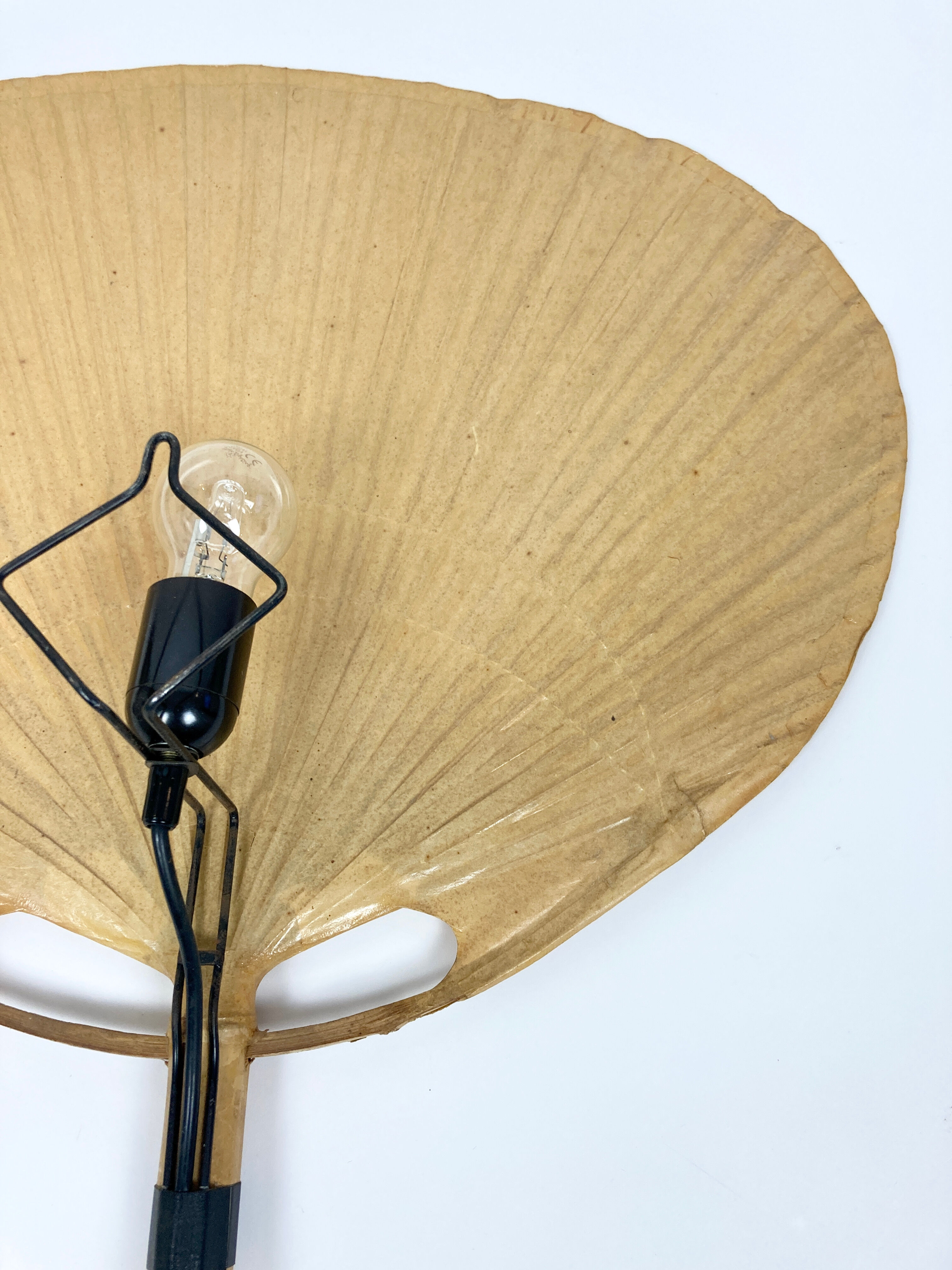 Uchiwa wall light by Ingo Maurer for M-Design, Germany 1970s