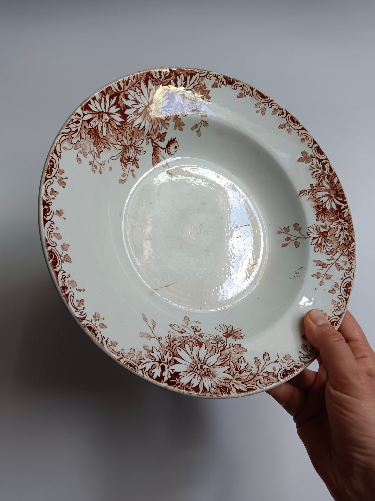 Large deep plate Terre de fer Gien Autumn