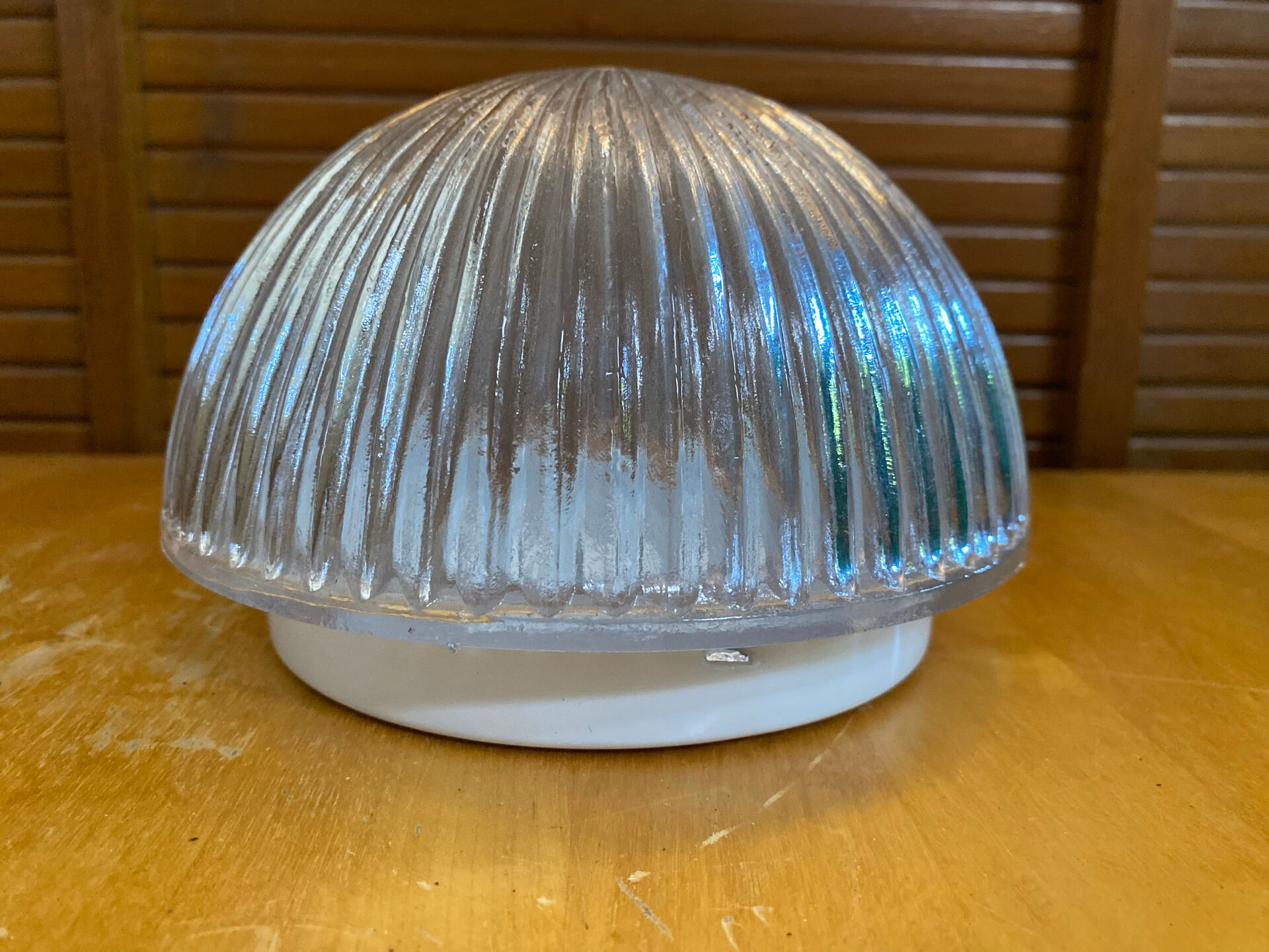 Vintage White Metal Support + Moulded Glass Ceiling Light Fixture
