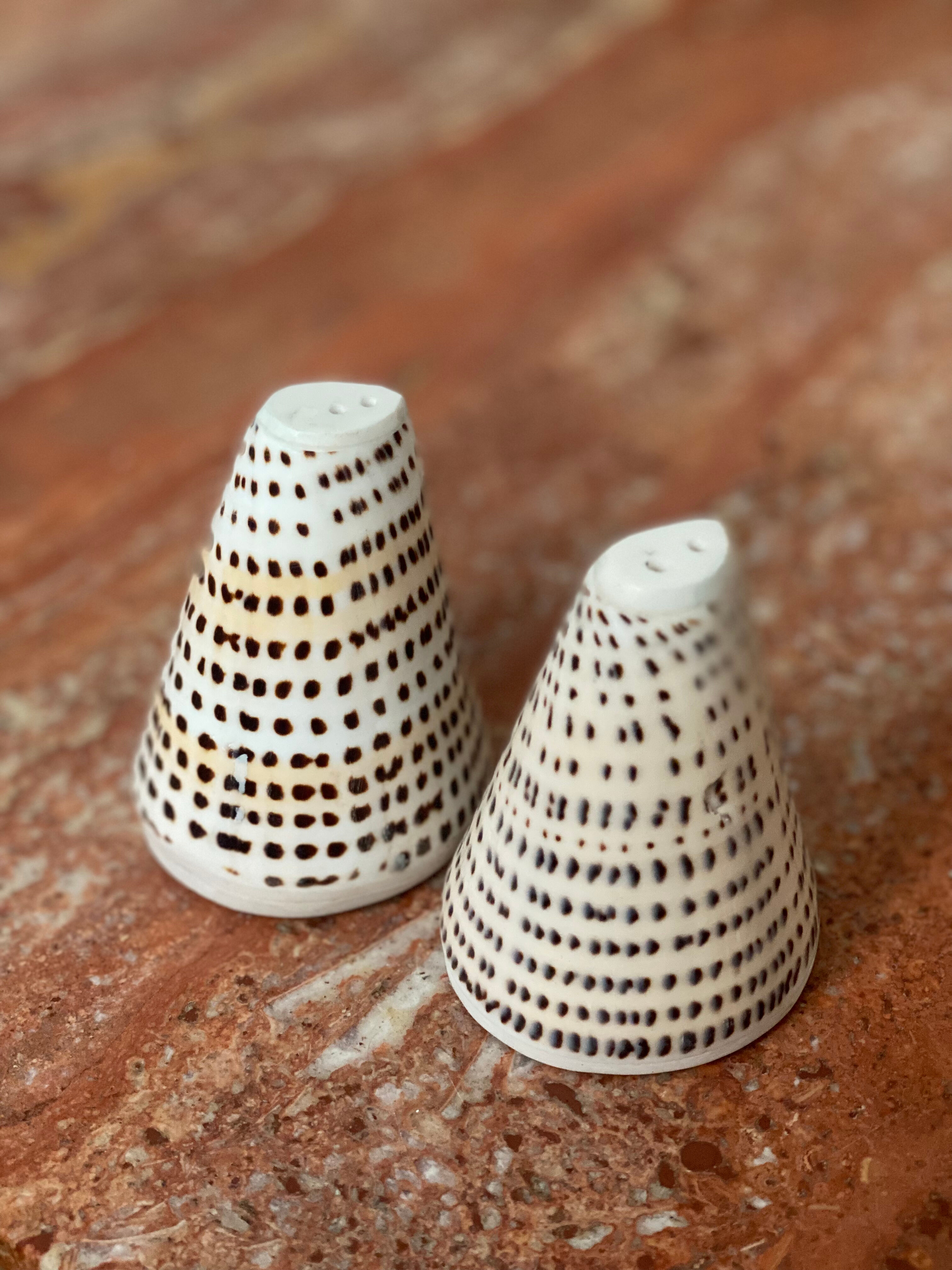 Vintage bohemian tiger shell salt and pepper shaker