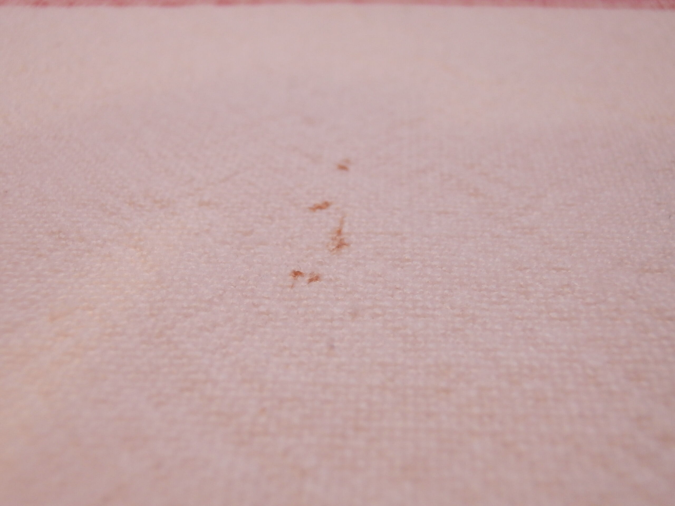 Old towels - set of 3