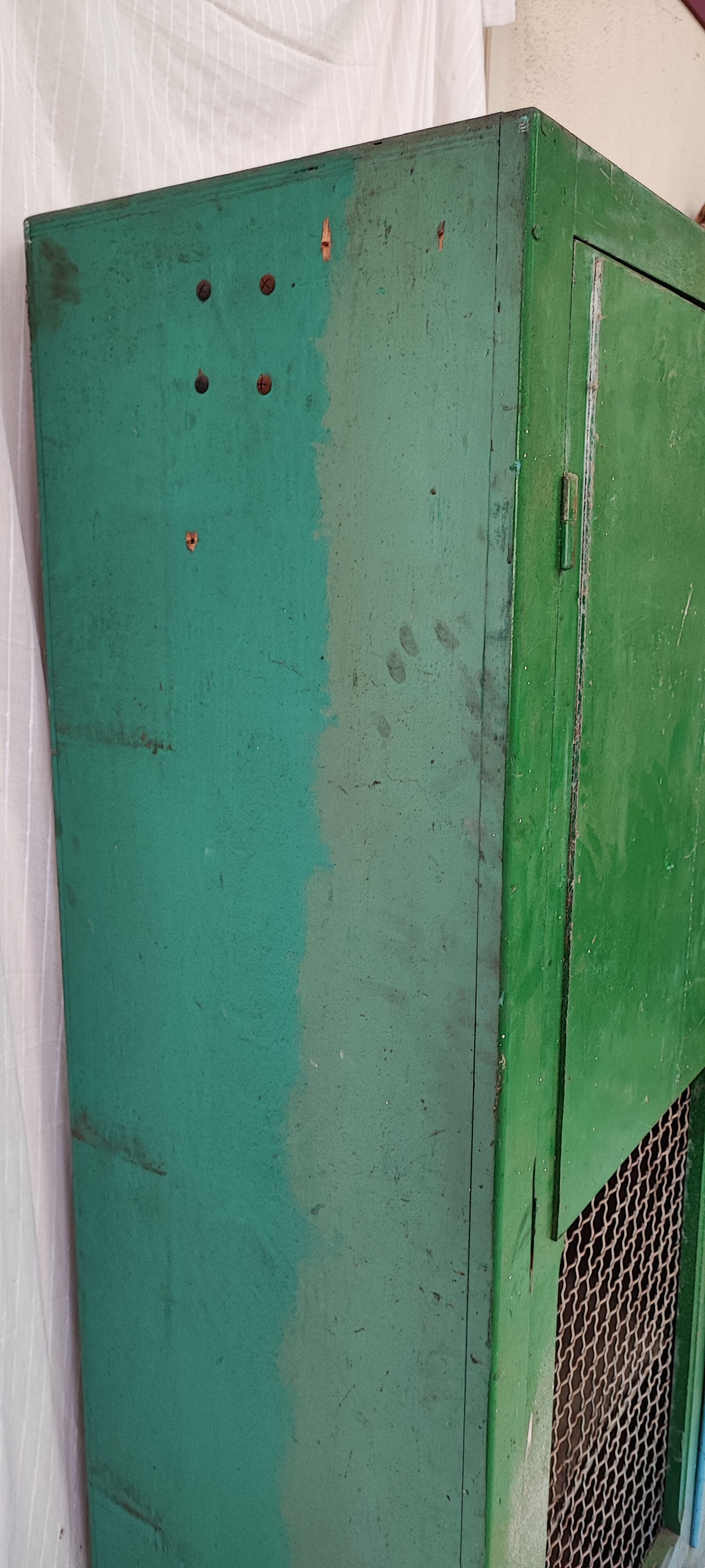 Wood workshop cabinet and mesh doors