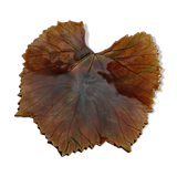Trinket bowl in the shape of a tree leaf