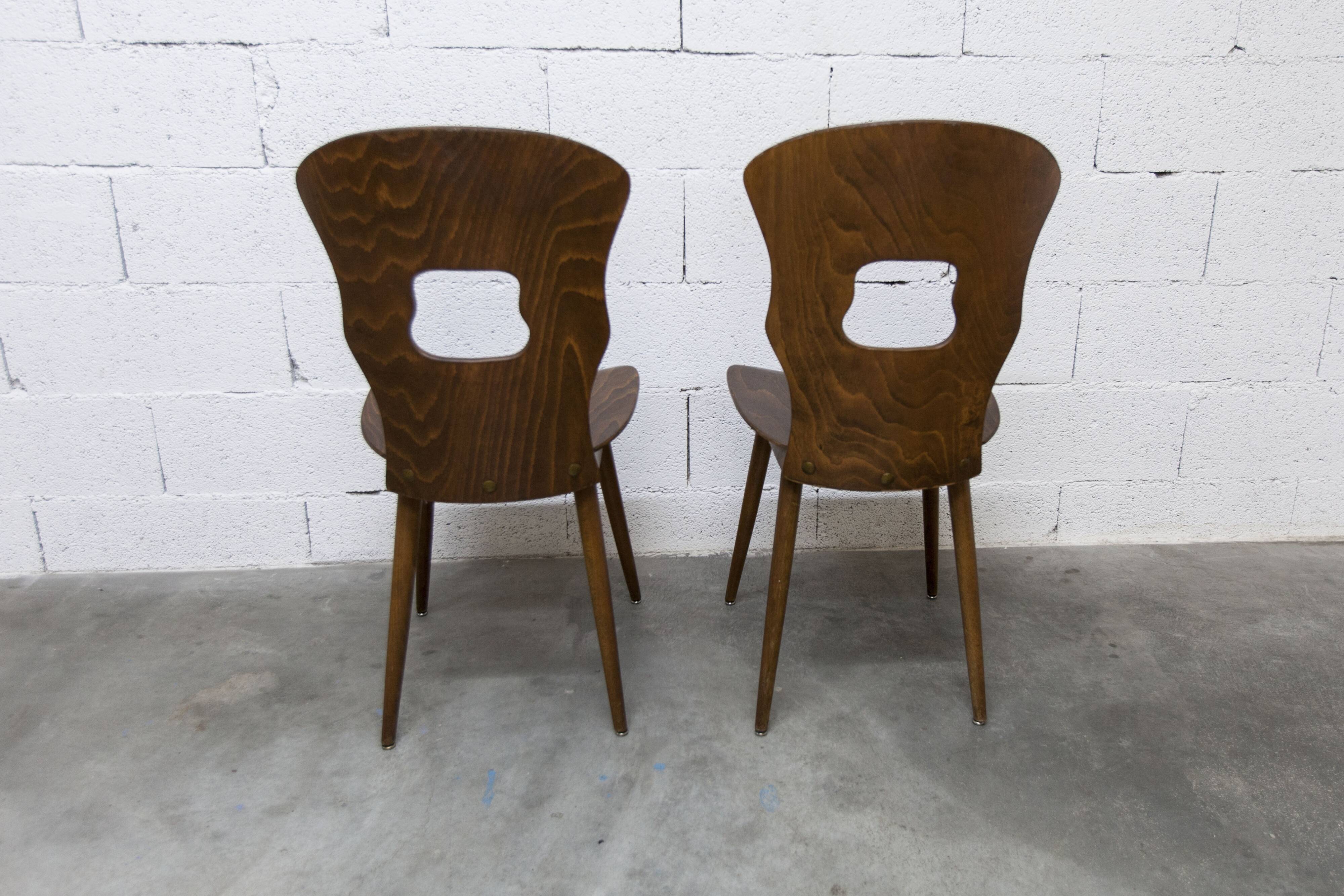 Paire de chaises Baumann modèle Gentiane 1960
