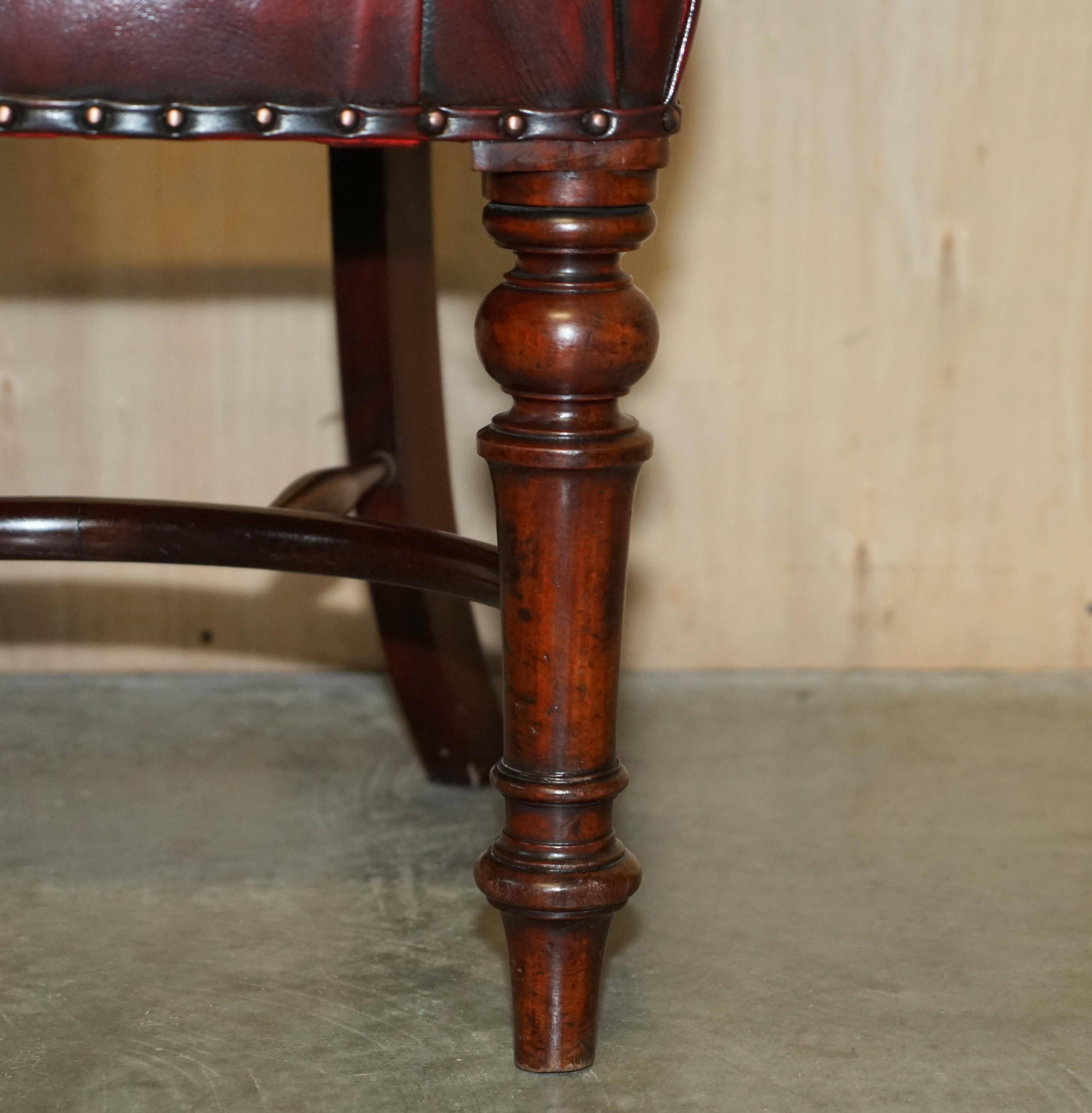 Chesterfield captain's armchair William IV in restored leather with hardwood.