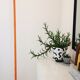 Checkerboard orange floor lamp