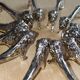 12 lion knife holders