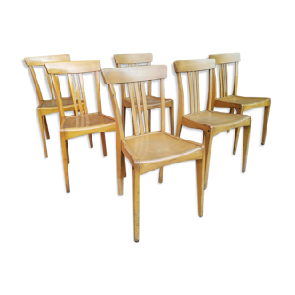 Lot of 6 Stella chairs