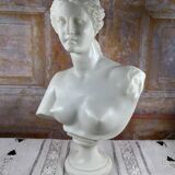 Bust of Venus – Aphrodite – White neoclassical sculpture – 32 cm