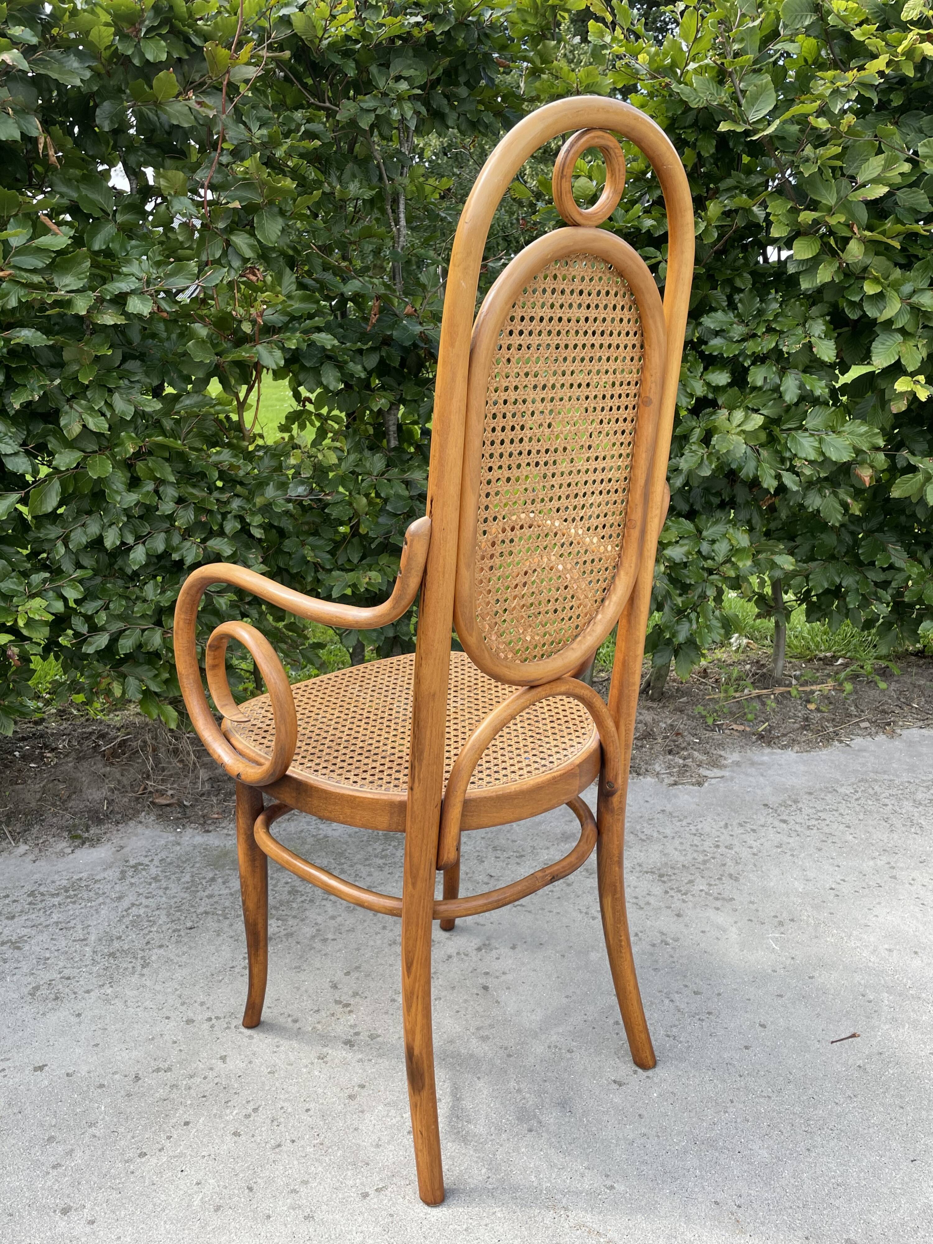 Sculptural bendwood side chair model